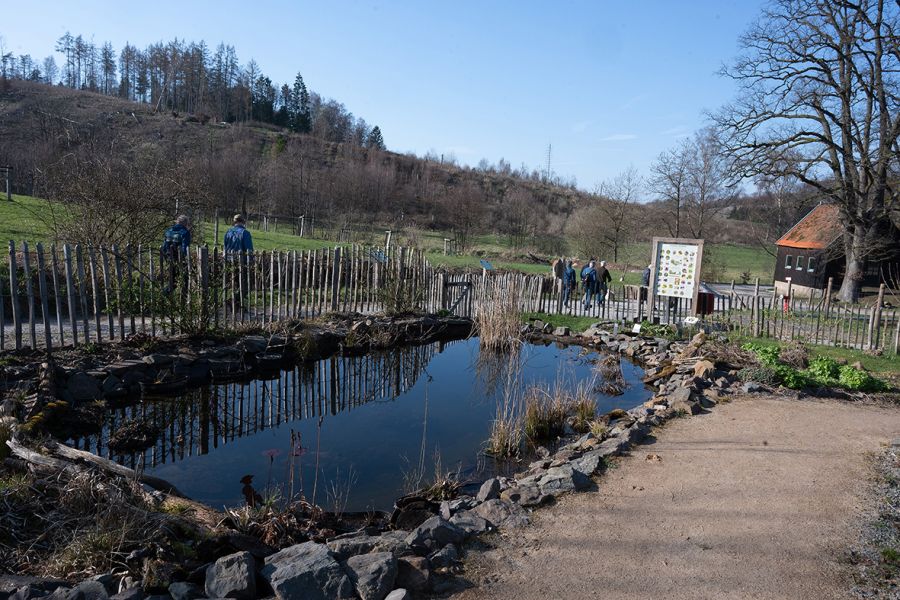 Naturteich im Garten für Alle