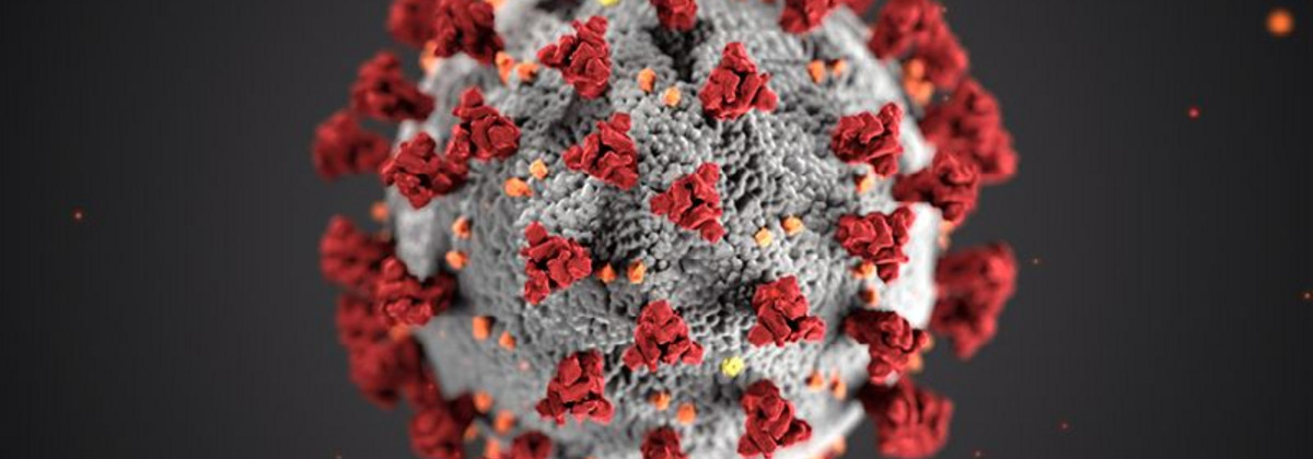 Titelbild Thema Coronavirus