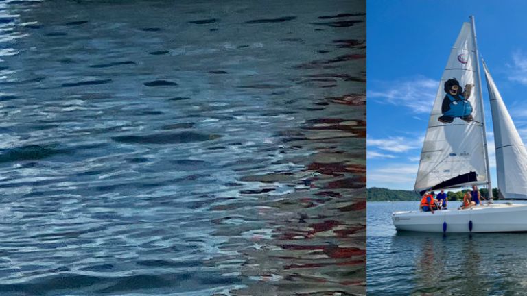  Auf dem Boot Henk de Mol kann man im eigenen Rollstuhl sitzen bleiben